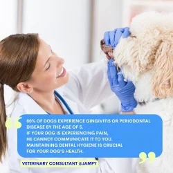 JAMPY KISS ME Dental Spray – Zahn- und Mundspray für Hunde mit Natriumhexametaphosphat (100 ml)