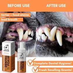 DOGSLIFE Dental Foam Peppermint 150 ml � Einfache tägliche Mundpflege für Hunde