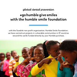 Tandtrdshngslen utan PFAS The Humble Co. Floss Picks CHARCOAL