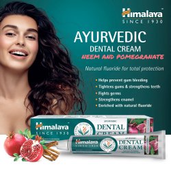 Ayurvedisk Herbal Tandpasta Himalaya Dental Cream Neem &amp; Pomegranate 100 g