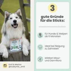 Noms+ Kr�uter Dentals – vegane Zahnpflegesticks f�r Hunde 150g)