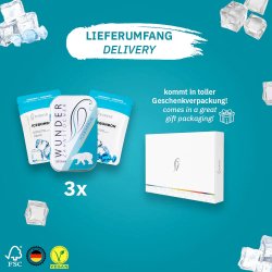 Wunder Tandstikker Med Smag Ice Bonbon Sampak