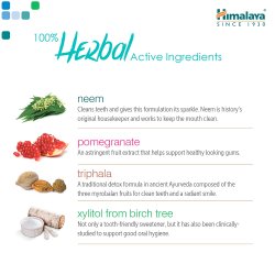 Himalaya Tandpasta BOTANIQUE Complete Care Simply Cinnamon 150 g 