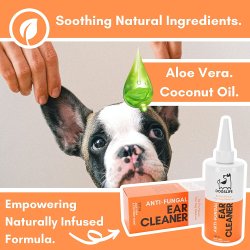 DogsLife Anti-Fungal Ear Cleaner � Ohrenreiniger für Hunde mit aloe vera und kokos � 237 ml