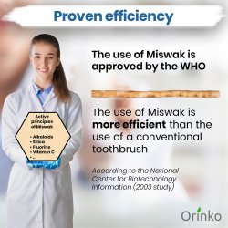 Miswak Pind 2 stk. med Beskyttelse Etui ORINKO Siwak Sticks 100% Naturlig Tandbrste