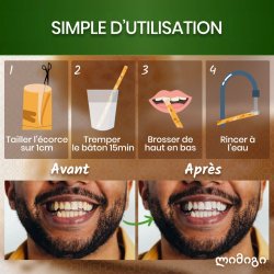 Miswak Sticks 3 Stk. mit Schutzetui ORINKO Siwak Sticks 100% Natürliche Zahnbürste