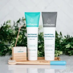 Hydroxyapatite Whitening Hammastahna WELLNESSE Charcoal &amp; Xylitol (Fluorfri) 113g