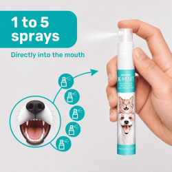 Artero X-Mint mondspray voor honden en katten met mint en aloe vera (14 ml)