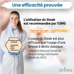 Miswak Pinde 18 stk. ORINKO Siwak Sticks 100% Naturlig Tandbrste