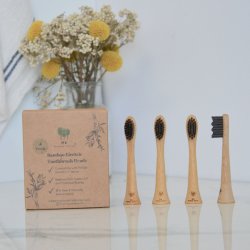 Bredygtige Brstehoveder til Philips Me Mother Earth