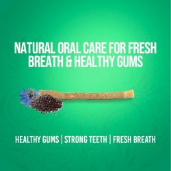 Miswak Tandpasta DABUR Blackseed 100 ml