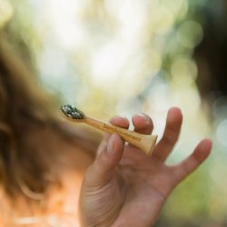 Bamboe opzetborstels voor Philips Bamboovement