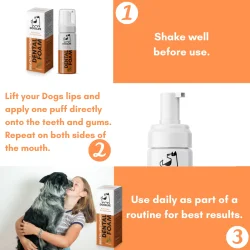 DOGSLIFE Dental Foam Peppermint 150 ml � Einfache tägliche Mundpflege für Hunde
