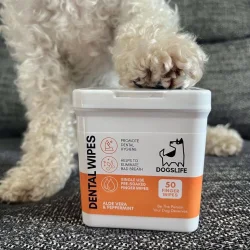 DogsLife Dental Wipes – 50 Finger-Tücher für Hunde