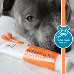 DOGSLIFE Deep Cleaning 100 g  Zahnpasta ffcr Hunde mit Aloe vera, peppermint und natfcrlichen Pflanzenextrakten