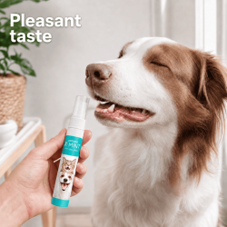 Artero X-Mint mondspray voor honden en katten met mint en aloe vera (14 ml)