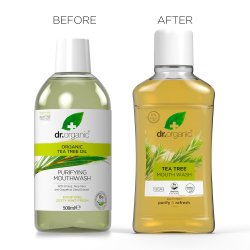 kologisk Mundskyl DR. ORGANIC Tea Tree Aloe Vera 500 ml