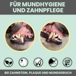 Noms+ Dental Spray – nat�rliche Zahnpflegespray f�r Hunde und Katzen (100 ml.)