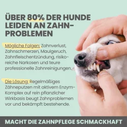 Noms+ Enzymodent Aktiv Zahnpasta-Creme f�r Hunde – enzymbasierte Zahnpflege mit mint und Kamille (75 ml.)