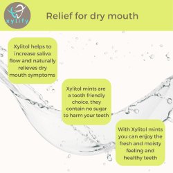 Xylitol sugtabletter XYLIFY Happy Teeth Mints Apple 245 st.