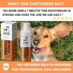 DOGSLIFE Dental Foam Peppermint 150 ml � Einfache tägliche Mundpflege für Hunde