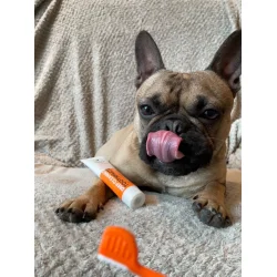 DogsLife Dental Care Kit � komplettes Zahnpasta-Pflegeset für Hunde mit Zahnpasta, dreifacher Zahnbürste und Fingerbürsten