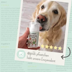 Noms+ Enzymodent Aktiv Zahnpasta-Creme f�r Hunde – enzymbasierte Zahnpflege mit mint und Kamille (75 ml.)