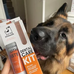 DogsLife Dental Care Kit � komplettes Zahnpasta-Pflegeset für Hunde mit Zahnpasta, dreifacher Zahnbürste und Fingerbürsten