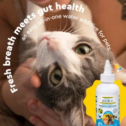 Radius OralPro+ Pet Probiotic Water Additive 118 ml | Mund- &amp; Darmpflege für Hund und Katze