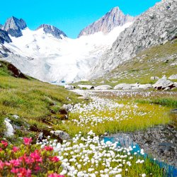 Tandkrm Sensitive Edel+White Osmotonic 75 ml.