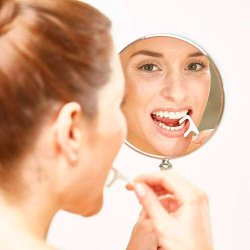 DenTek Comfort Clean Floss Back Teeth Picks Tanntrdholdere