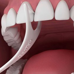 DenTek Comfort Clean Floss Back Teeth Picks Tanntrdholdere