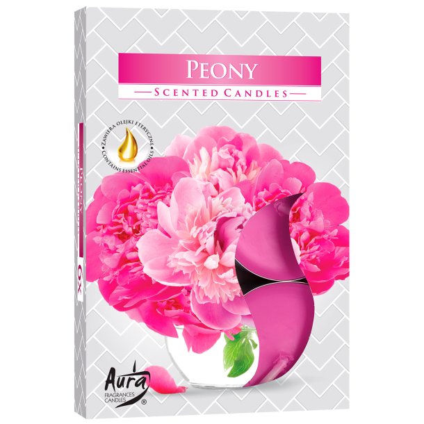 Doftljus Pion Doftljus