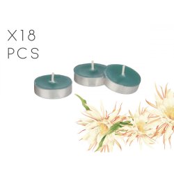 Doftljus 18 st. Lttare Acorde Night Lady