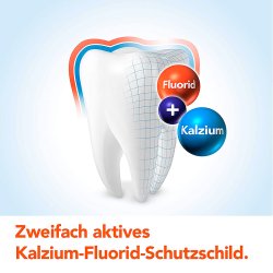 Aronal/Elmex Dentifrice + Brosse � dents Kit de soins dentaires