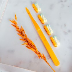 Jordan tandborstar Byt skaft + 2 borsthuvuden Medium