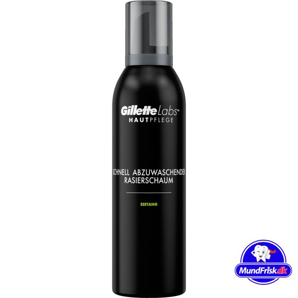 Gillette Labs Rasierschaum Schnell aussp&uuml;lbarer Rasierschaum