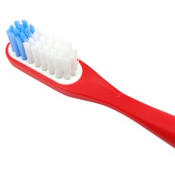 Lamazuna tandborste med utbytbart huvud - MEDIUM