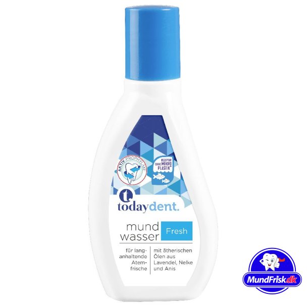 Today Dent Fresh Mouthwash Concentrate