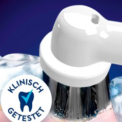 8 stk. Oral-B Brstehoder PureClean Charcoal