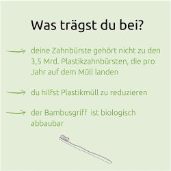 Pandoo Bambus B�rnetandb�rste Medium (1 stk.)