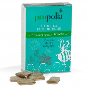 Xylitol Tyggegummi Propolia Propolis Mint