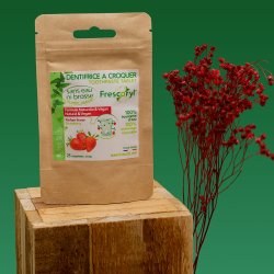 Frescoryl Tandkrmstabletter JORDGUBB