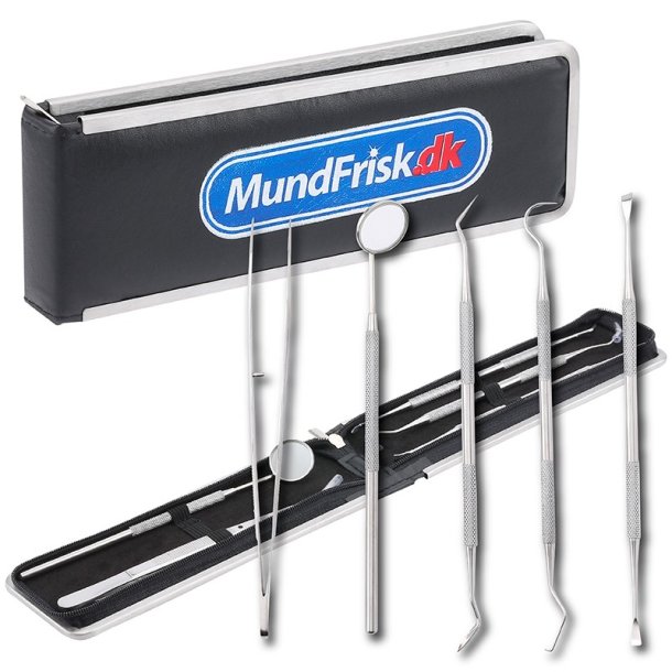 Tandplejest i rustfrit stl - 5 stk. Tandlge-redskaber med taske