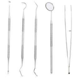 Tandplejest i rustfrit stl - 5 stk. Tandlge-redskaber med taske