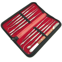 10 stk. Tanninstrumenter i lrveske