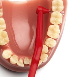 TePe Angle Gap borstar RD ISO 2 - 0,5 mm.