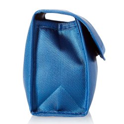 kpse fr Waterpik Wireless Munskljar