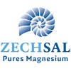 Zechsal